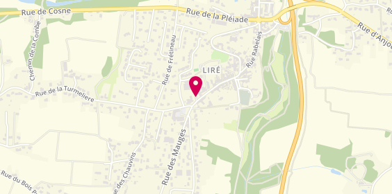 Plan de Site de Lire, Liré 194 Rue Pierre de Ronsard, 49530 Orée-d'Anjou