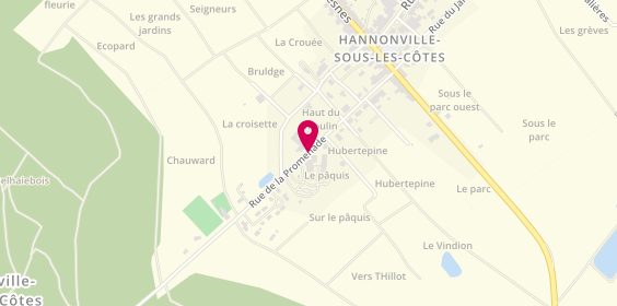Plan de Foyer Résidence des Côtes de Meuse, 19 Rue Promenade, 55210 Hannonville-sous-les-Côtes